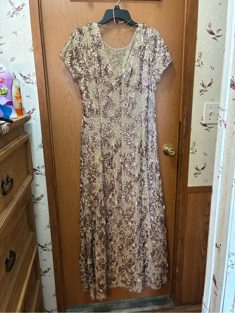 Alex Evenings Beige Dress with Mauve Floral Lace Overlay